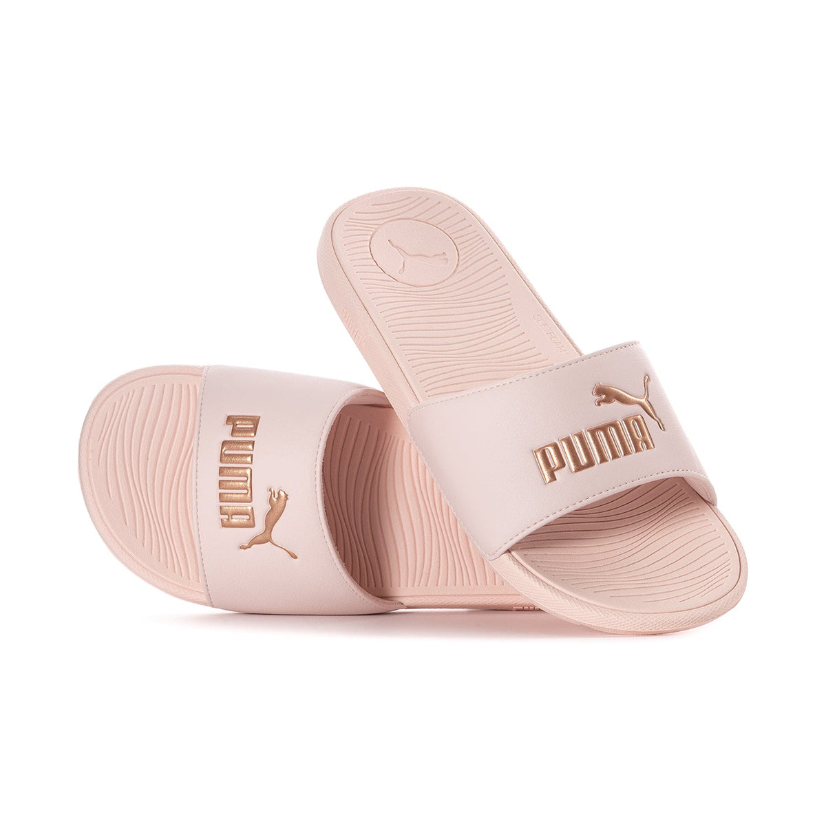Cool Cat 2.0 - Womens