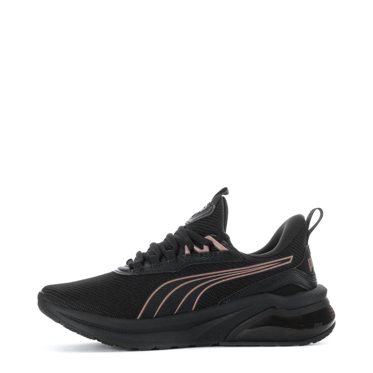 Seeker - Womens