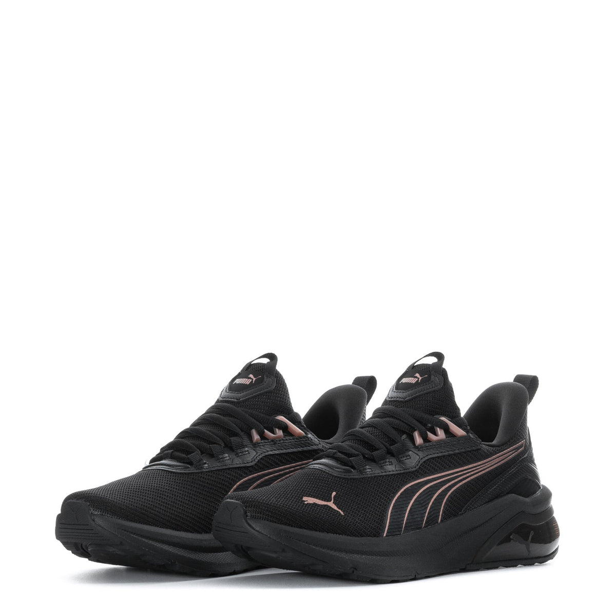 Seeker - Womens
