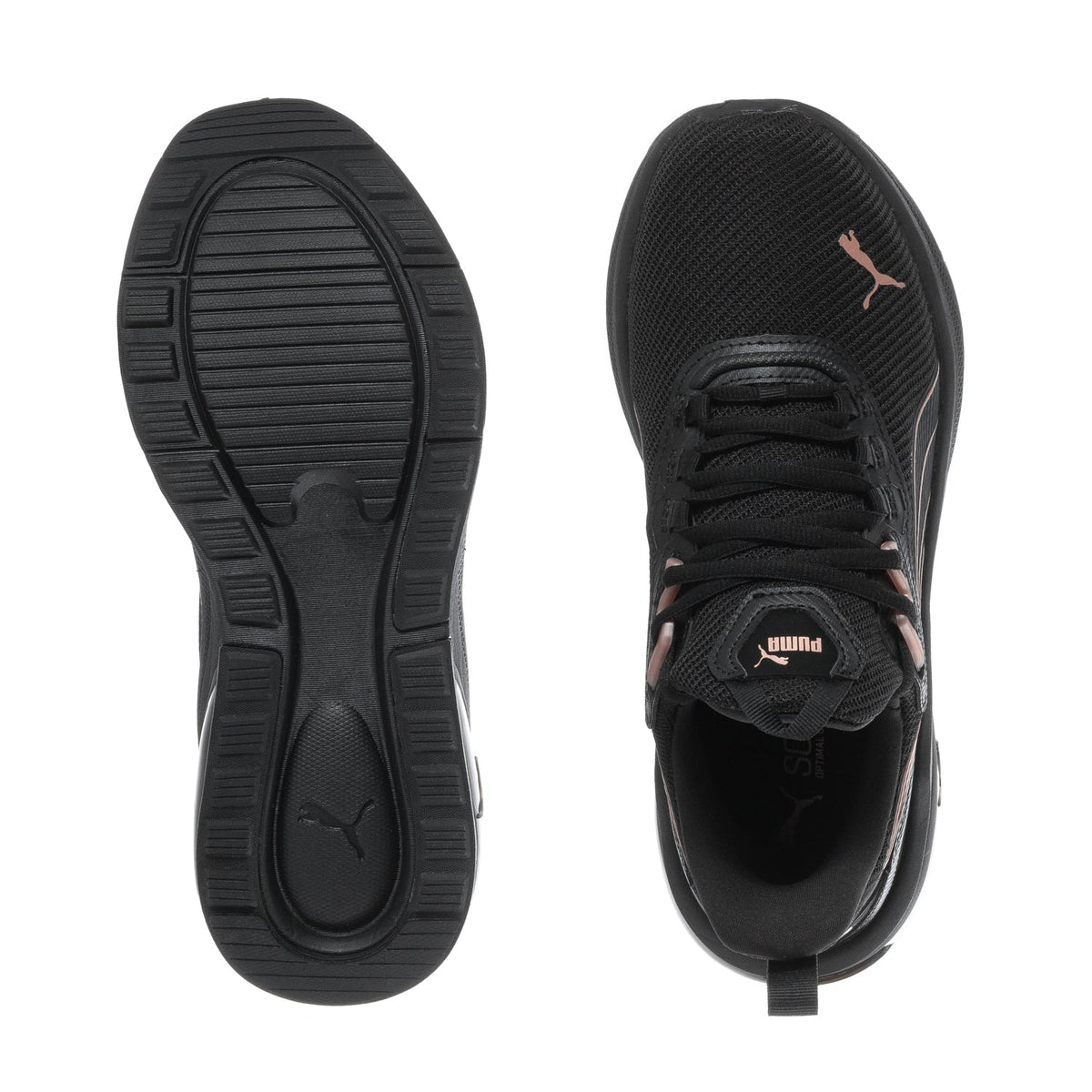 Seeker - Womens